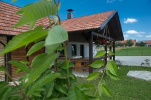 Zahrada ubytování Rooms Ivan