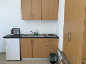 a small kitchen with a sink and a refrigerator at Eugenia travasarou sea view appartments in Diakofti
