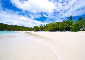 a beach with white sand and palm trees on it at Racha Island Resort (Rayaburi) in Ko Racha Yai 