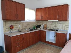 a kitchen with wooden cabinets and a sink and a microwave at Eugenia travasarou sea view appartments in Diakofti