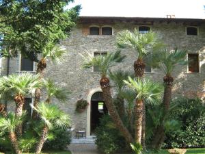 a building with palm trees in front of it at L'Arcadia in Pietrasanta