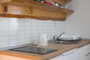 Kuchyň nebo kuchyňský kout v ubytování Studio Apartments Plitvice Lacus