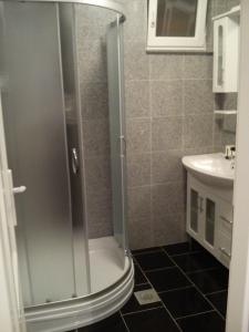 Koupelna v ubytování Apartmani Luja