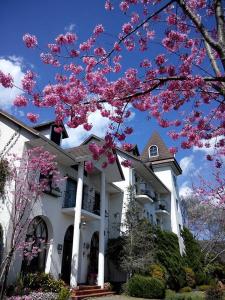 a white house with pink flowering trees in front of it at Europe Villa in Renai