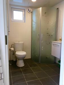 ボリホルムにあるFriesviks Gårdのバスルーム(トイレ、シャワー付)