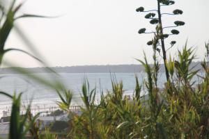 コニル・デ・ラ・フロンテーラにあるApartamento Velarde IVのビーチと海の景色を望めます。