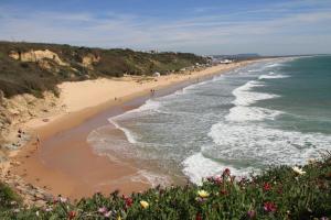 Gallery image of Apartamento Velarde III in Conil de la Frontera