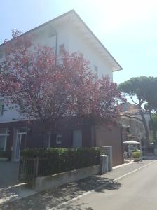 une maison avec un arbre en face dans l'établissement Hotel Byron Light NUOVA GESTIONE 2024, à Riccione