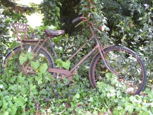 an old rusty bike is sitting in the bushes at lesChenes in Saint-Dolay
