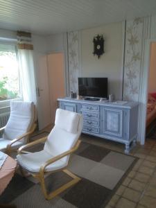 een woonkamer met 2 stoelen en een televisie bij Ferienhaus "Buchfink" in Berumbur