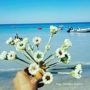 Gallery image of studio climatise pour vacance in Ḩammām al Ghazzāz