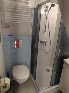 ヤストシェンビャ・グラにあるNoclegi U LISKAのバスルーム(トイレ、シャワー付)