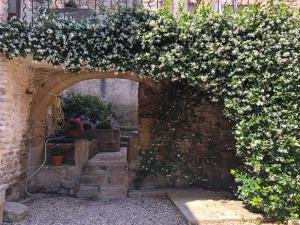 Zahrada ubytování Provence Haus