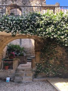 Zahrada ubytování Provence Haus