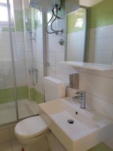 a bathroom with a toilet and a sink and a shower at Apartments Eufemija in Novalja