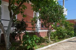 A garden outside Maro Apartments Arillas Corfu
