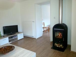 a living room with a fireplace and a tv at FeWo-Tannenhof in Medebach