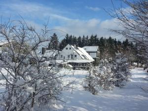 a white house in the snow with trees at FeWo-Tannenhof in Medebach +9 photos
