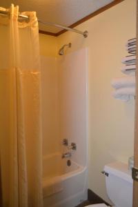 a bathroom with a shower with a shower curtain at Arbor Inn of Historic Marshall in Marshall