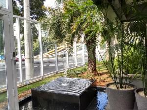 a fountain in front of a window with a palm tree at Apartamentos Juliana Bela Vista in Sao Paulo