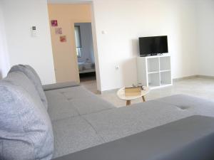 Televízia a/alebo spoločenská miestnosť v ubytovaní Apartman Danijel