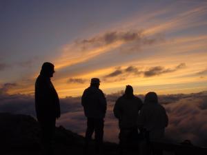 Majutusasutuse Alpengasthof Zollwirt külastajad