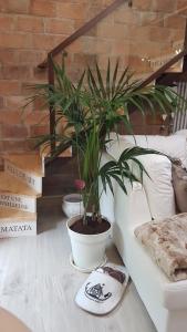 Fotografija u galeriji objekta Loft Giuly u gradu Vignanello