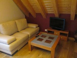 Hostal Otsoa في Ezcároz: غرفة معيشة مع أريكة وتلفزيون