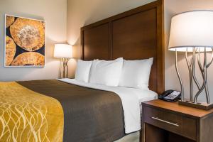 una camera d'albergo con letto e telefono di Comfort Inn & Suites Valdosta a Valdosta
