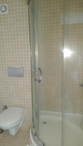 a bathroom with a toilet and a glass shower at ece "vegan"hotel Bodrum in Golturkbuku