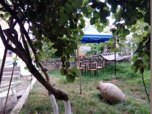 Giardino di Kobuleti Egro House