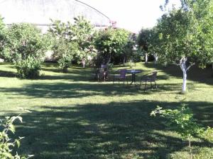 Zahrada ubytování Apartment Tomašević