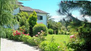 Κήπος έξω από το Casa Pinho