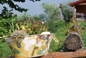 Zahrada ubytování Agriturismo Cisogna