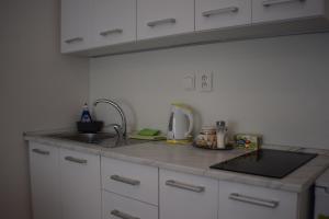 Kuchyň nebo kuchyňský kout v ubytování Apartmány Lípa