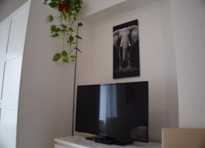 TV a/nebo společenská místnost v ubytování Apartmány Lípa