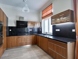 Kuchyň nebo kuchyňský kout v ubytování Apartment Villa Dionysus