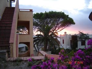 een huis met een palmboom en een boom bij casa giafra in S'archittu Cuglieri