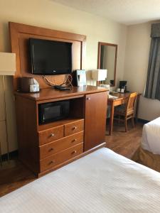 a bedroom with a television and a bed at St. Albert Inn & Suites in St. Albert