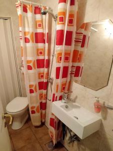 a bathroom with a toilet and a sink and a shower curtain at Apartman Ruza 3 in Poljane