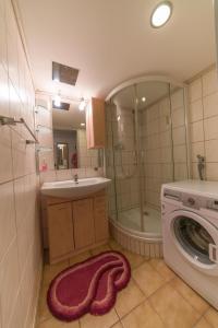 a bathroom with a sink and a washing machine at Das Weinberghaus in Ratsch an der Weinstraße