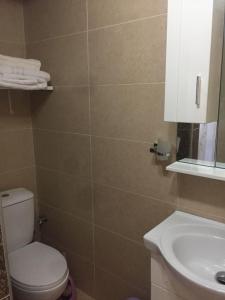 a bathroom with a toilet and a sink at Stefanel View-Frederika in Himare