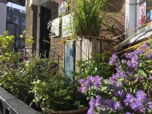a garden of flowers in front of a house at Kelston Guest House in Weymouth