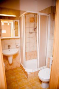 ein Bad mit einer Dusche, einem WC und einem Waschbecken in der Unterkunft Club MenDan Aparthotel in Zalakaros