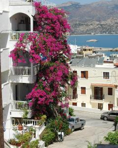 a building with pink flowers on the side of it at Roses Studios in Karpathos