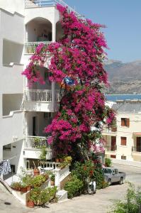 a building with pink flowers on the side of it at Roses Studios in Karpathos