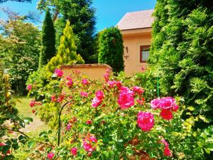 a garden with pink roses in front of a house at Aromatic Garden Villa La Poltrona in Nasu
