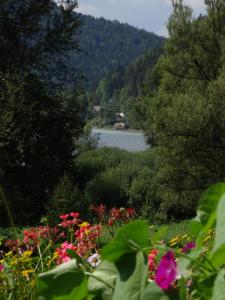 Fotografie z fotogalerie ubytování LunzFerien v destinaci Lunz am See