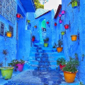 a staircase in a blue building with potted plants at Casa Mablu in Chefchaouen