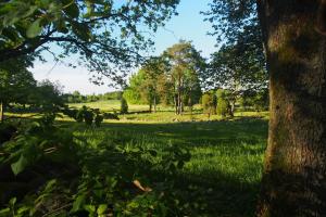 Foto da galeria de Lilla Rygårdens B&B em Lövestad